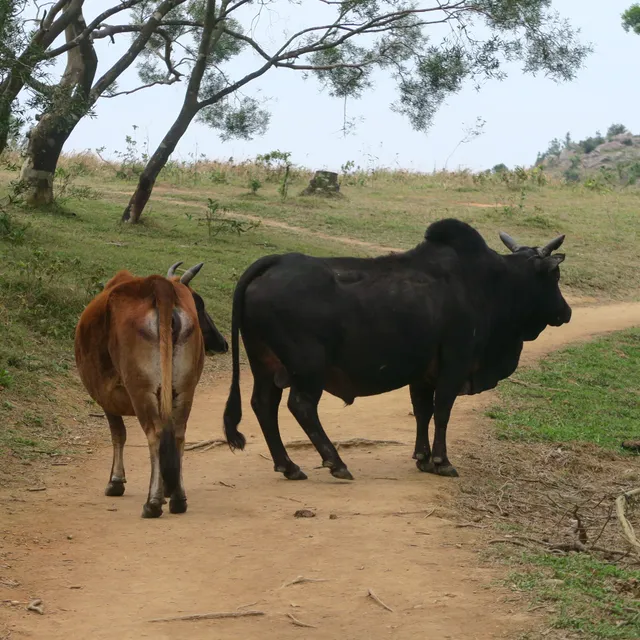 Hong Kong and Macau with Hannah