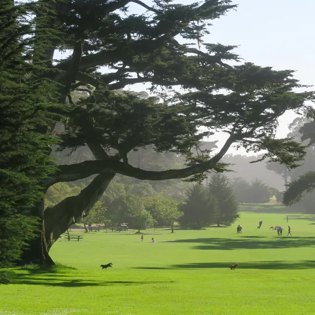 San Francisco 2017-2018